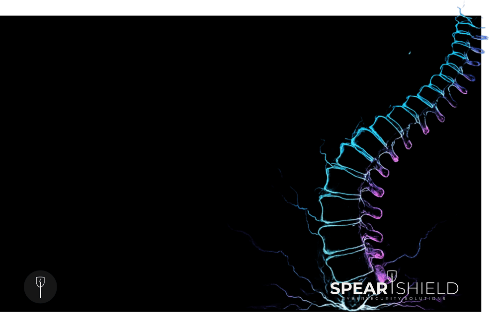 A picture to represent the backbone theme of the blog post talking about MDR Services for businesses